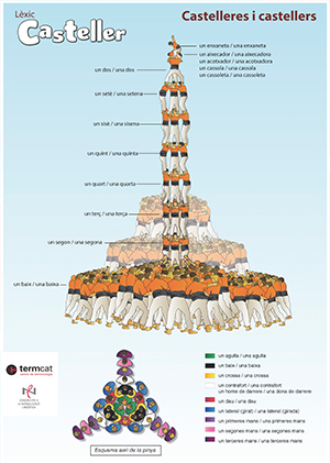 Lèxic casteller: Castelleres i castellers